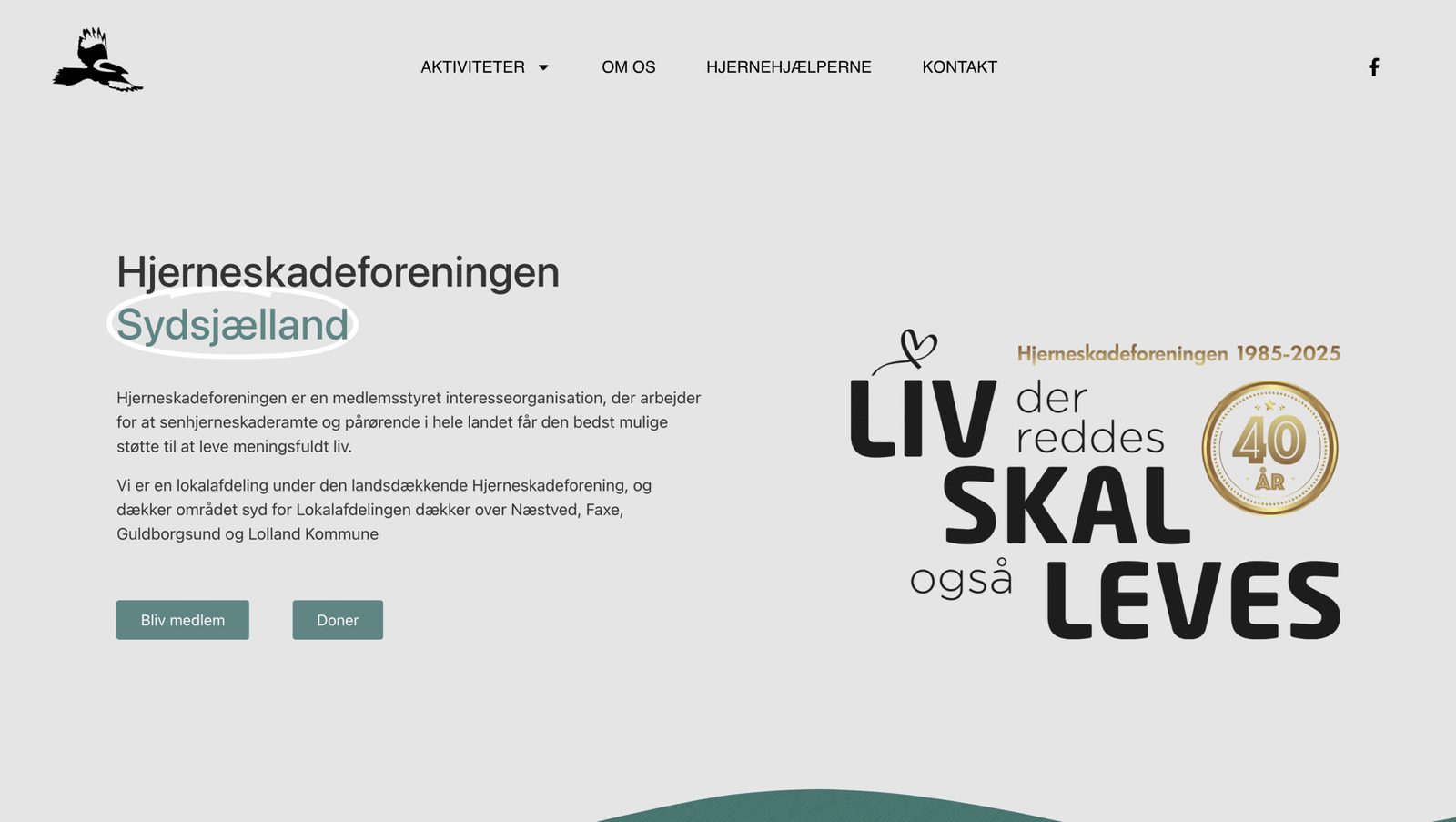 Case med Hjerneskadeforeningen Sydsjaelland forside udviklet i stilrent webdesign